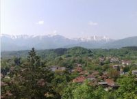 ������� 3