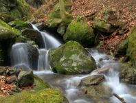 ��������� 1