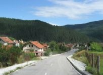 ���� ���������