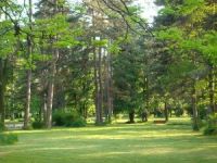 �����-����