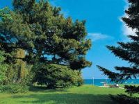 ������ �������