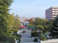 ������ ���������