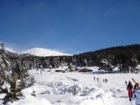 ������ �������