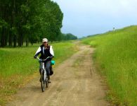 ����������