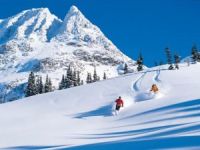 ������ ������